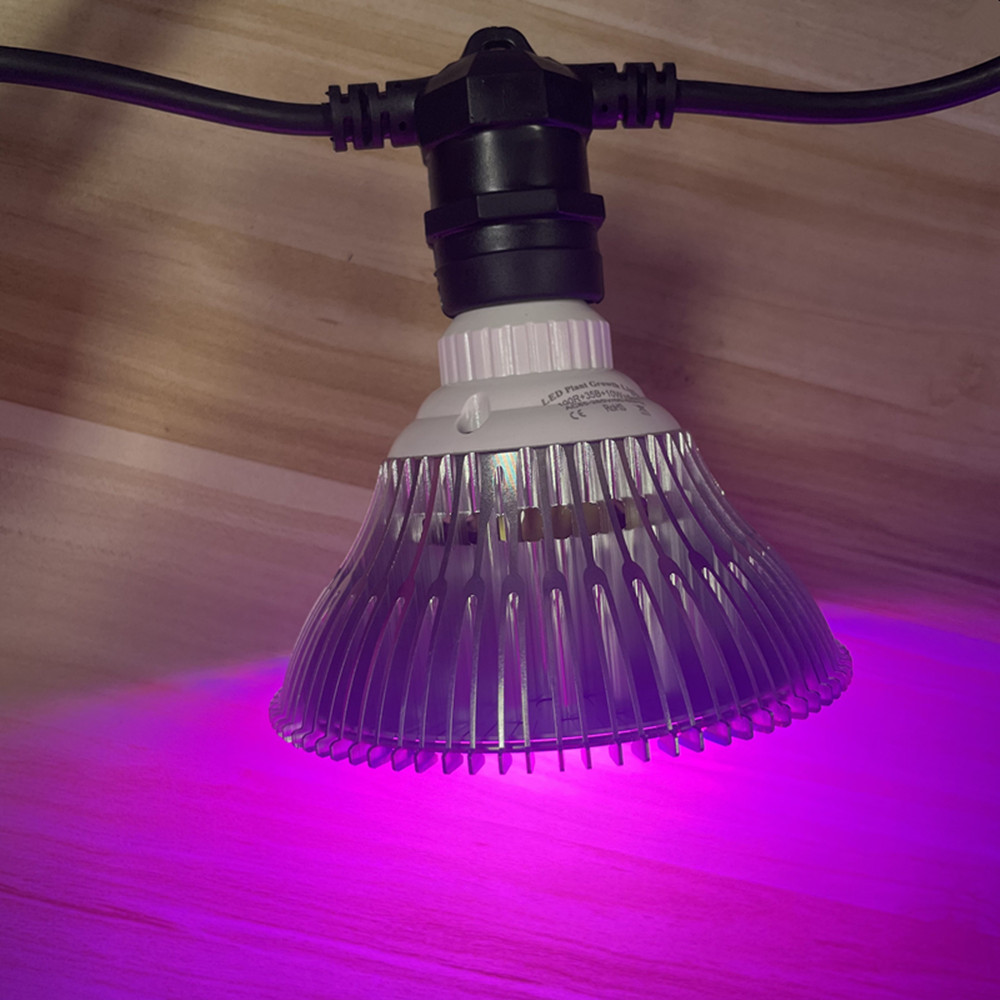 10M Cable LED String Commercia - Outdoor Lighting For Backyard reseña y precio