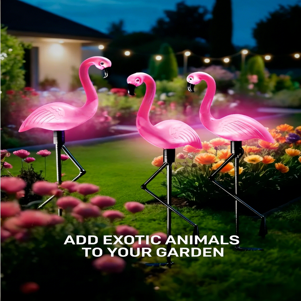 3Pcs Solar Powered Flamingo Gr - Outdoor Lighting Pathway reseña y precio