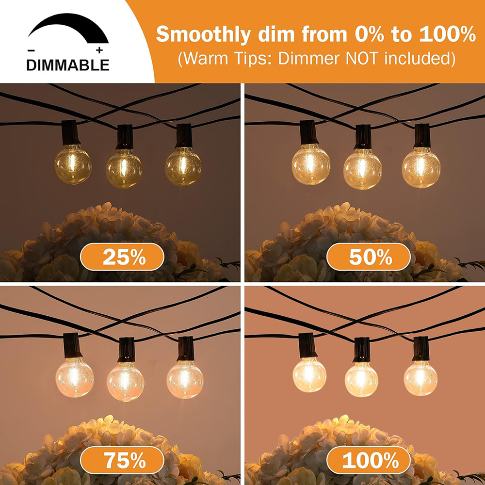 7/26M Festoon LED Globe String - Outdoor Lighting On Fence reseña y precio
