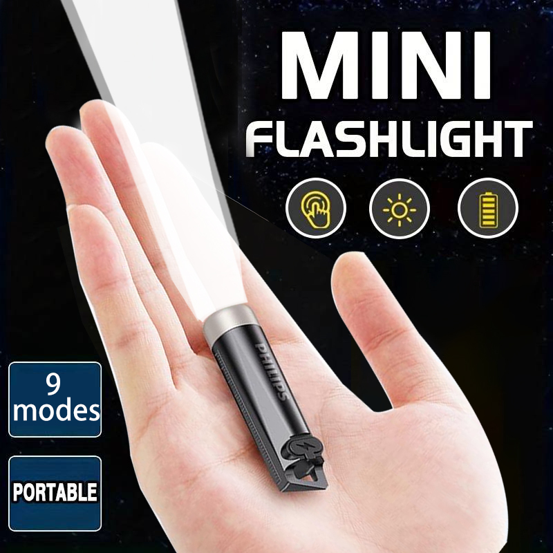 Philips Mini Flashlight SFL112 - Outdoor Lighting Bollards reseña y precio