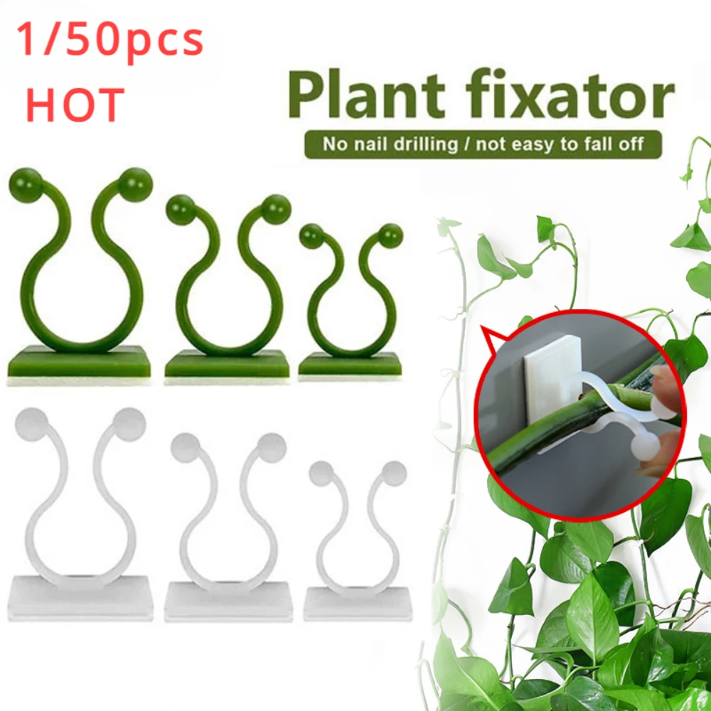 1/30/50Pcs For Garden Accsesor - Outdoor Lighting Manufacturers reseña y precio